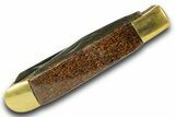 Pocket Knife with Fossil Dinosaur Bone Inlays & Base #370785-1